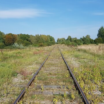 Railway tracks in the middle of the field and forest under blue sky