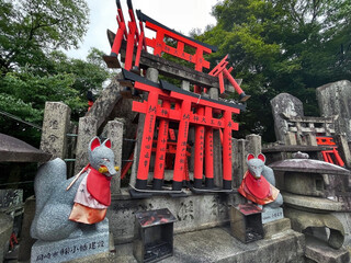 Sacred Journey: Fushimi Inari Taisha Shrine Gate, Kyoto, Japan