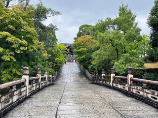 Ritual Passage: Fushimi Inari Taisha Shrine Gate Bridge, Kyoto, Japan