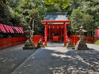Zen Escape at Tsurugaoka Hachimangu red torii gate: Kamakura's Temples and Gardens, Japan