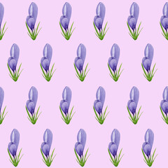 Watercolor spring crocuses seamless pattern, spring flower digital paper on pink background. Hand painted floral illustration. For textile design, packaging, wrapping paper, wallpaper, scrapbooking.