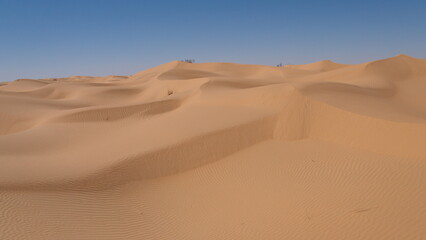 Fototapeta na wymiar Rolling sand dunes in the Sahara Desert, outside of Douz, Tunisia