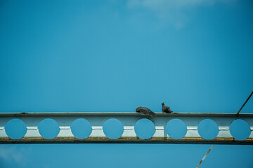 Two pigeons are perched on a metal beam