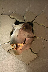 head of a dinosaur