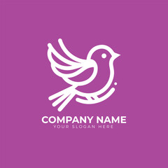 Bird logo design vector
