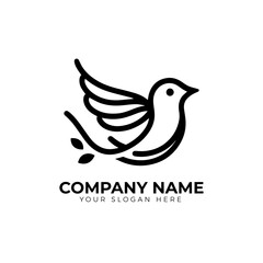 Bird logo design vector
