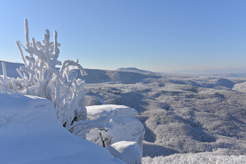 winter landscape with snow in Vihorlat.