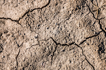 Dry soil background. Texture of dry land in drought and hot weather