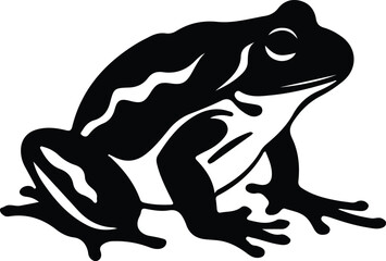 Fototapeta premium amphibian silhouette