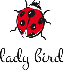 Lady bird, love bug, logo, icon