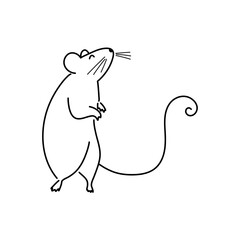 Hand drawn rat 