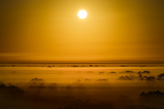 Sunrise over trees in the cloud forest