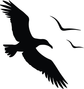 recommend clip art: albatross silhouette