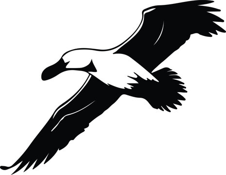 recommend clip art: albatross silhouette