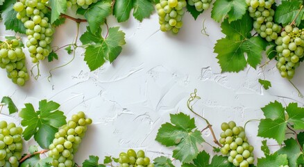 Bunch of Green Grapes Hanging From Vine
