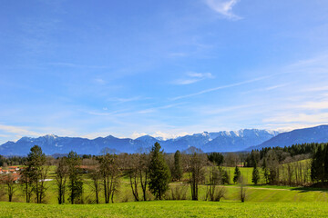 Fototapeta na wymiar View of the Oberammergau Alps from a road near Uffing am Staffelsee in the district of Garmisch Partenkirchen in Bavaria on a sunny spring day with a blue sky