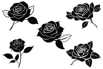 Beautiful  Black Rose Vector On White Background