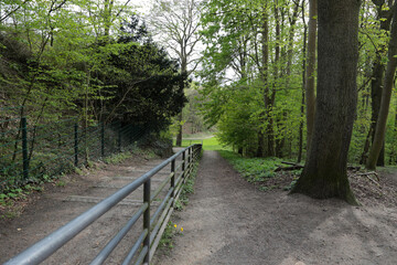 Schinkels Park, Hamburg-Blankenese im Frühling