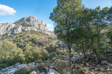 The scenic view of Termessos ancient city and the theater from Güllük Mountain, Antalya, Turkey