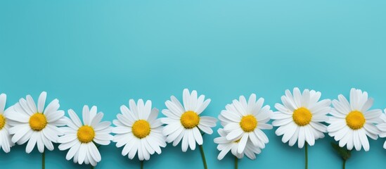 Obraz premium Floral Marguerites on Vibrant Background, with Blank Space for Text, Design Template