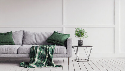 interior house with simple white background mock up. grey velvet sofa with green plaid on . modern space concept. 3d render.
