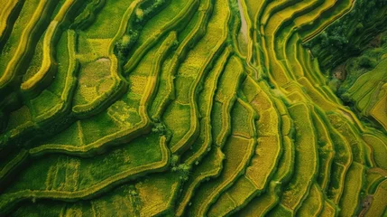 Wandaufkleber A stunning aerial view of the Longji rice terraces, perfect for travel and landscape websites. © Fotograf