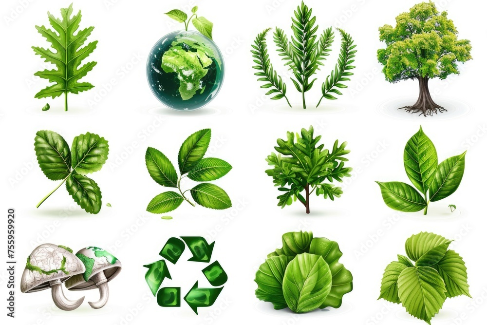 Poster various types of leaves in a vibrant display, perfect for nature-themed projects.