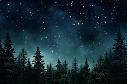 Evergreen tree silhouettes against a starry night sky