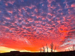 cielo rojo