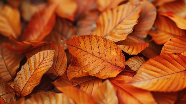 Detailed image of a bunch of leaves, perfect for nature backgrounds.