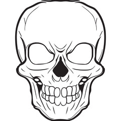 smiling skull, full front view, centered, vector illustration line art