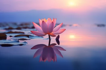 Foto op Canvas Tranquil Waters: Serene Reflections of Blooming Water Lilies and Lotus Flowers in a Peaceful Pond © Keyser the Red Beard