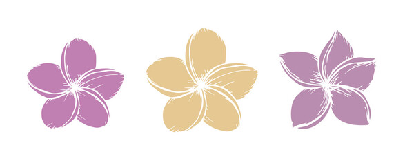 Obraz premium Tropical silhouette of vector plumeria flowers illustration on isolated background. Beautiful botanical hand painted exotic frangipani. For designers, spa decoration, postcards, wedding, gre