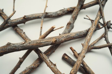 Close up of a bunch of twigs, suitable for nature backgrounds.