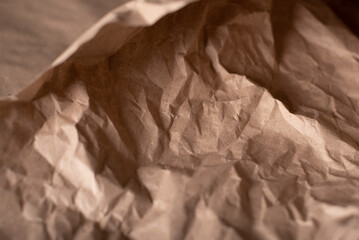 Paper from fallen leaves. Background of crumpled brown paper.  Textured background from paper