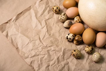 Fotobehang A large ostrich egg and many chicken and quail eggs on kraft paper close-up. © Syoma Barva