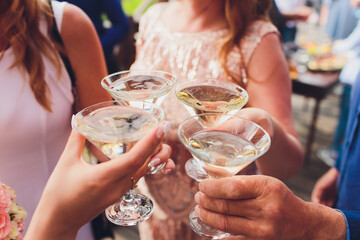 Clinking glasses with alcohol and toasting, party. Congratulations to the event. Cheerful party friends.