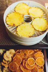 Fresh dryed apple chips prepared in a home fruit and vegetable dryer. Healthy food concept.