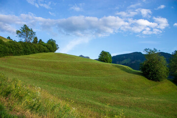 view of val di fiemme in trentino alto adige