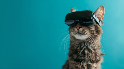 Tabby Cat with VR Glasses on Blue Background - Funny Animal Portrait with Copy Space