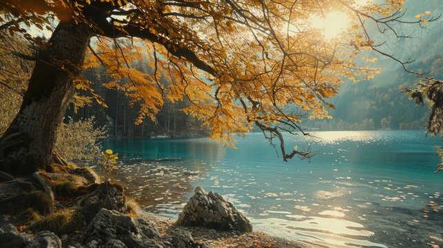 A serene image of a tree next to a calm body of water. Suitable for nature and landscape themes.