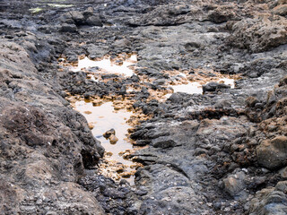 Lava beach with salt formation