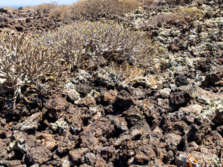lava tube with climbing tops