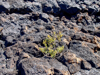 Timanfaya National Park is a national park in the Canary Islands