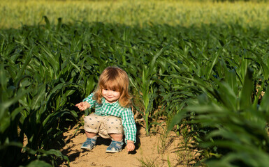 Little baby playing in nature on the green grass. Kids playing. Baby on corn farm field, outdoors. Child having fun with farming and gardening of vegetable, harvest.