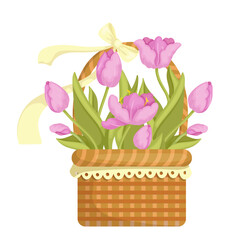 A bouquet of spring flowers of a pink tulip in a vintage wicker basket. Vector graphics.