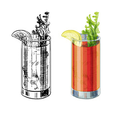 Bloody Mary cocktail. Vintage hatching vector illustration