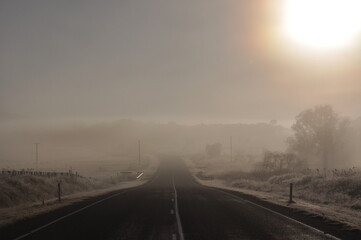 Foggy Sunrise, Armidale, Australia