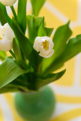 Close-up of a bunch bouquet of beautiful white tulips indoors.