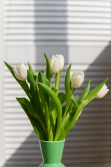 Bouquet of white tulips on a light background. - 756002950
